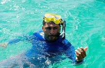 Snorkel Tour and Glass-Bottom Boat Ride in Cabo San Lucas