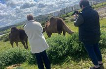 Tangier sightseeing tour, cap spartel , camel ride & caves