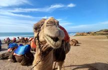 Tangier sightseeing tour, cap spartel , camel ride & caves
