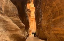 Petra and Wadi Rum Private tour from AMMAN