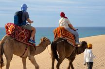 Camel Ride & Canyon Visit at Timlalin Dunes with Hotel Pickup