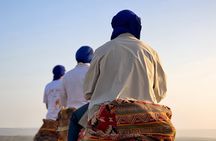 Camel Ride & Canyon Visit at Timlalin Dunes with Hotel Pickup