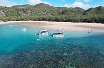 Magnetic Island Discovery Tour with Snorkeling & Paddle Boarding