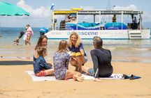 Magnetic Island Discovery Tour with Snorkeling & Paddle Boarding