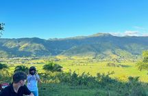 Guided ATV Adventure Tour near El Yunque Hacienda 8A