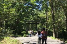 Togakushi Shrine & Snow Monkey Full-day Private Tour