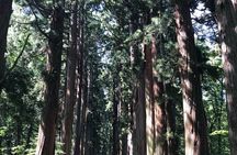 Togakushi Shrine & Snow Monkey Full-day Private Tour