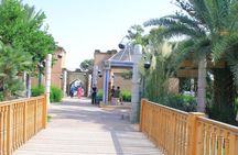 Agadir Private City Tour