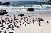 Cape Peninsula Cycle Tour