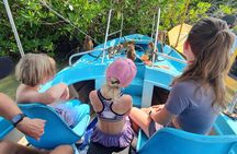 Half -Day Negombo City Tour & Local Lunch or (Lagoon Boat safari)
