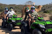 1 Hour Quad Bike Adventure in Essaouira desert
