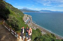 Short Tour to View Mt. Fuji from Various Angles from Shimizu Port