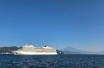 Short Tour to View Mt. Fuji from Various Angles from Shimizu Port