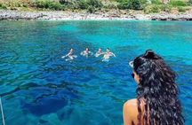 Sailing Cruise in the Zingaro Reserve with Lunch