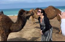 Private Day Trip VIP Tour to Tangier from Tarifa or Algeciras