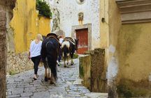 Salerno: Horseback Riding Excursion in Cava de’ Tirreni