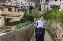 Salerno: Horseback Riding Excursion in Cava de’ Tirreni