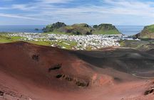 Westman Islands Volcano and World Largest Puffin Colony Tour