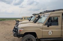 5-Day Tanzania Safari Tours