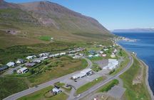Seal Watching and Scenic Fjord Tour from Isafjordur Port