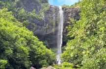 7 Waterfalls Hike with Lunch and South Tour