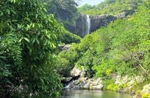 7 Waterfalls Hike with Lunch and South Tour