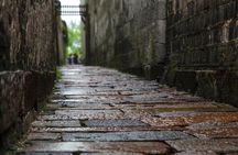 Private Day Excursion to Wuzhen Water Town from Shanghai