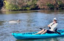 Dolphin and Manatee Kayak Tour of Daytona Beach