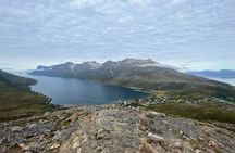 Midnight Sun Hike and Scenic Fjord Tour from Tromsø