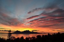 Midnight Sun Hike and Scenic Fjord Tour from Tromsø