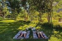 Yoga, Meditation & Sound Healing in Zion