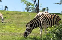 Visit Hacienda Naples Theme Park by Pablo Escobar