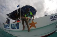 Shared Snorkeling Tour Playa El Cielo in Cozumel