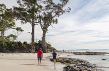 Bruny Island Essential Explorer Full Day Tour from Hobart 