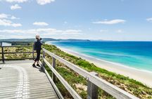 Bruny Island Essential Explorer Full Day Tour from Hobart 