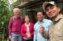 Mindo Private Tour, Full Day from Quito