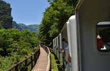 Private 1 Tour Zhangjiajie National Forest Park Avatar Mountain