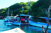 Roatan East Side Mangrove Tunnels ,Garifuna Village,Turtle Farm