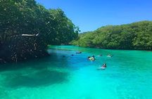 Roatan East Side Mangrove Tunnels ,Garifuna Village,Turtle Farm
