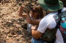 Spirits Of Vietnam Cambodia Thailand 16 Days - From Ho Chi Minh