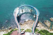 Busan Highlights & Cozy Local Private Tour with Licensed Guide