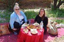 Private Skoura Oasis Walking Tour and Homemade Meal with Locals