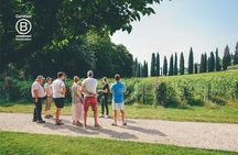 Amarone Wine Tasting Tour from Verona with Private Transportation