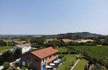 Organic Wine Tasting and Local Food with View near Rimini