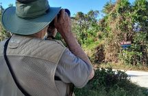 Private Birding and Nature Tour in Cozumel