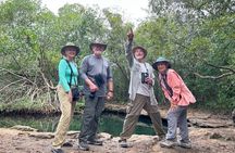 Private Birding and Nature Tour in Cozumel