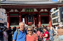 Tokyo Private 1-Day Tour by Car with Local Guide