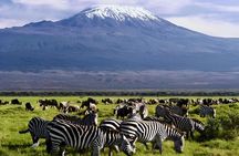 Day Tour To Amboseli National Park From Nairobi