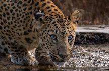 Private Jaipur City Tour with Professional Local Guide