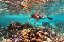 Taha’a Reef Tower Swimming and Reef Pool